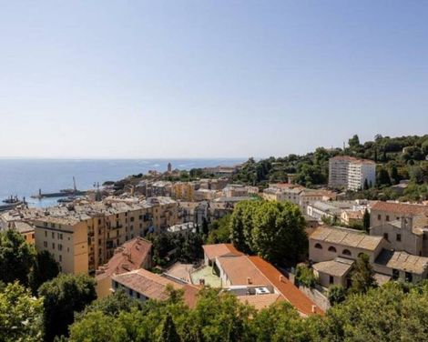 Adonis Le Bastia