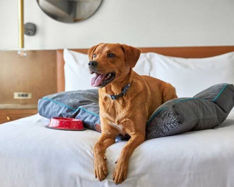 ARC HOTEL Washington DC, Georgetown-1