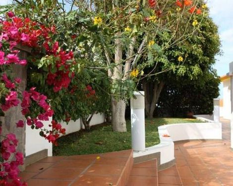 Canico Bay Apartments