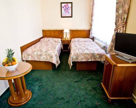 Hotel Melantrich-2
