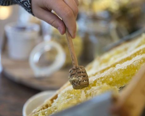 ANA Living Munich by Arthotel ANA-3