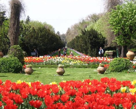 Hotel Central Trademark Collection by Wyndham-0