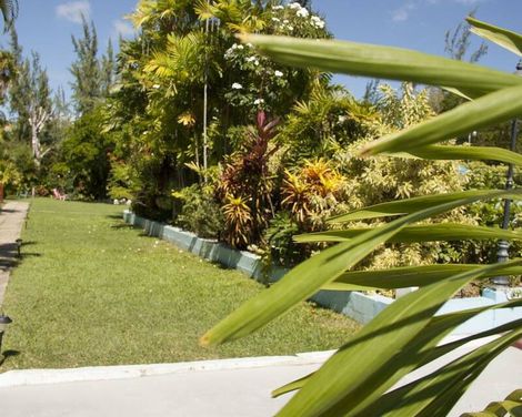 Palm Garden Hotel-2