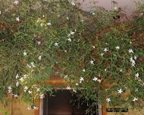 Hotel Metin