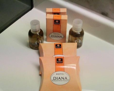 Hotel Diana Venice