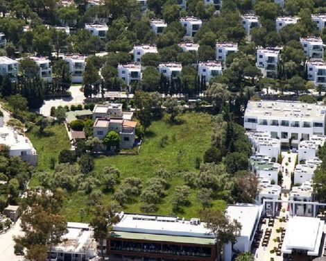 Caja by Maxx Royal-3