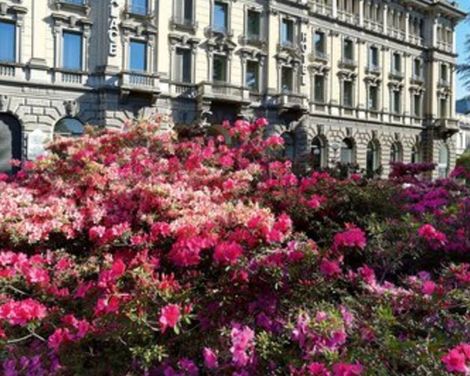 Palace Hotel