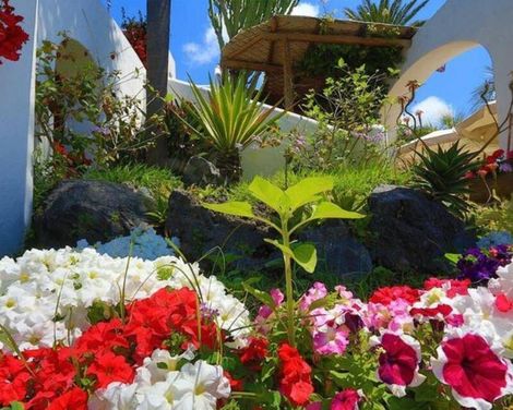 B&B HOTEL Ischia San Nicola