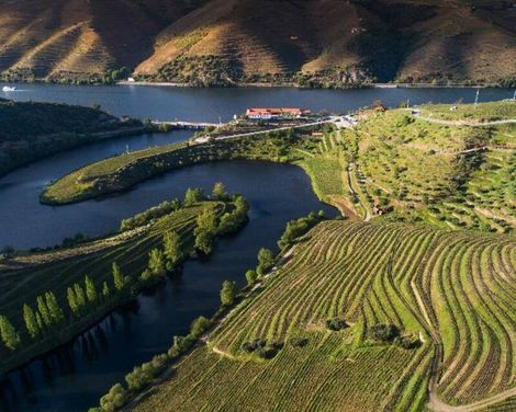 Vila Gale Douro Vineyards