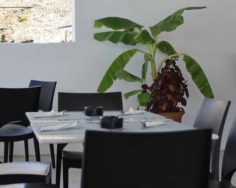 Evita Alegria Hotel