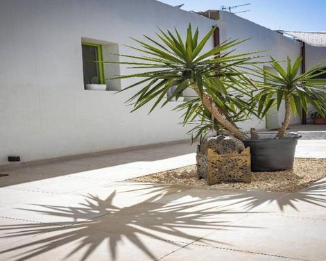 Lemon Tree Bed & Breakfast