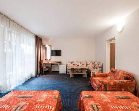 BSA Gradina Hotel-3
