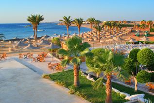 Strand mit Liegestühlen und Palmen am Roten Meer in Ägypten