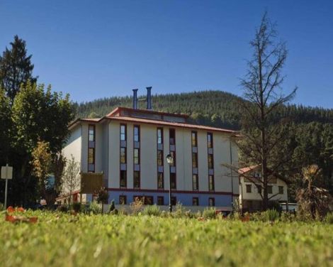 Hotel Balneario Areatza