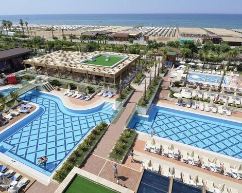 Trendy Verbena Beach