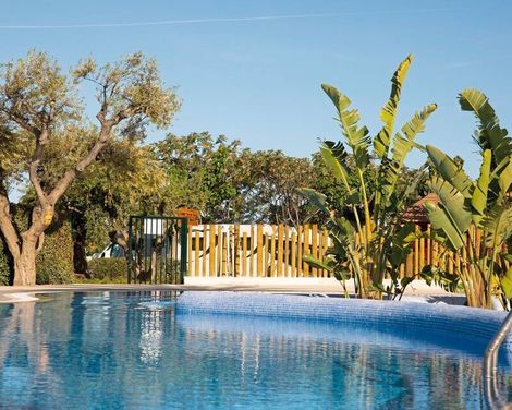 Camping La Llosa