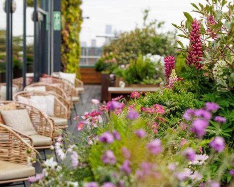 Treehouse London
