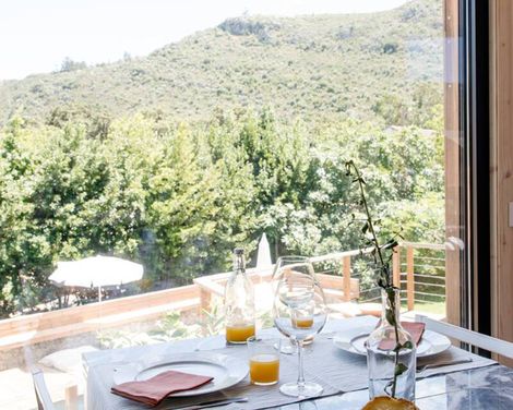 Cooking and Nature The Nest