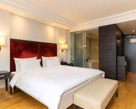Radisson Blu Elizabete Hotel