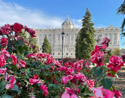 Blick auf das historische Zentrum von Rom, Italien