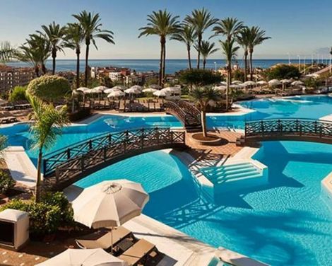 Meliá Jardines Del Teide-3