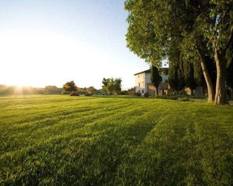 Villa Campestri Olive Oil Resort
