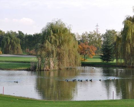Golf Hotel-1