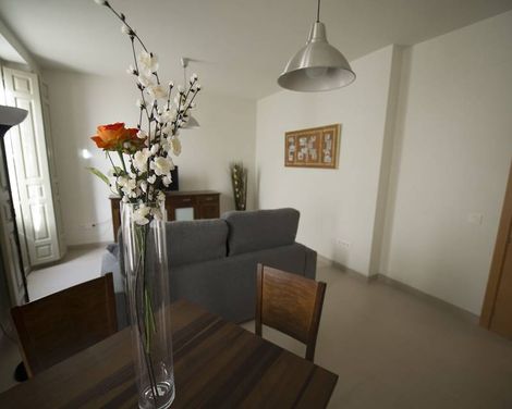 Apartamentos Gibralfaro Centro-2