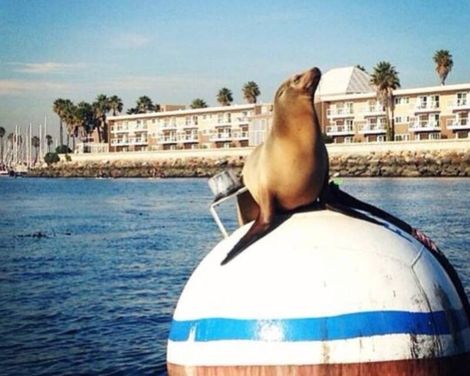 The Portofino Hotel & Marina-3