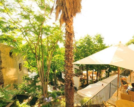 Alberi del Paradiso-3