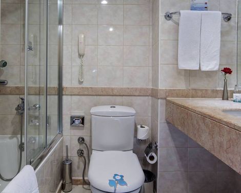 Alba Resort Hotel-3