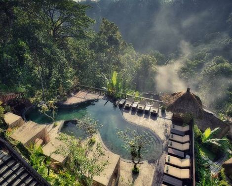 Nandini Jungle by Hanging Gardens