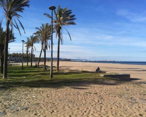 Turia