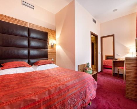 EA Hotel Sonata-3