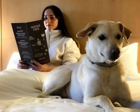 ibis Barcelona Ripollet-0