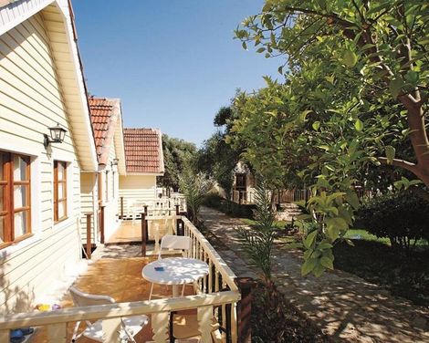 Clover Magic Nova Beach Hotel-3