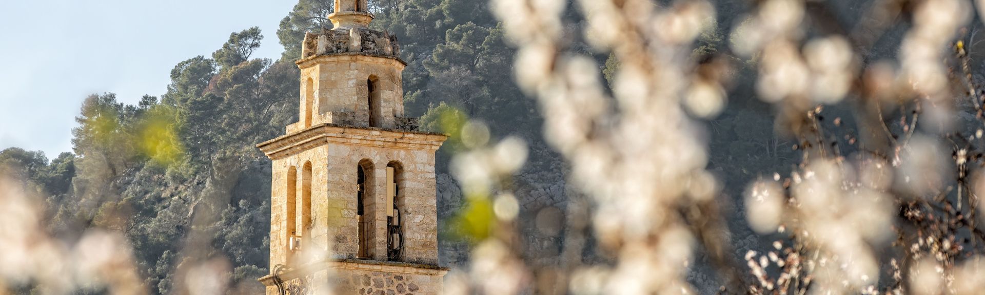 Eine Kirche im Frühling, mit blühenden Bäumen im Vordergrund, auf Mallorca, Spanien 