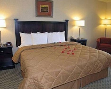 Comfort Inn & Suites Henderson-1