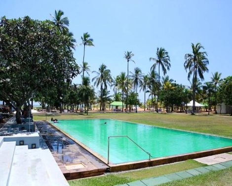 Pegasus Reef