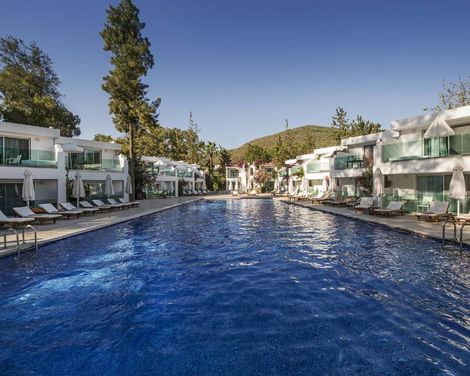 Voyage Torba