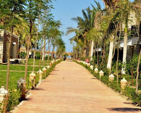 Aladdin Beach Resort