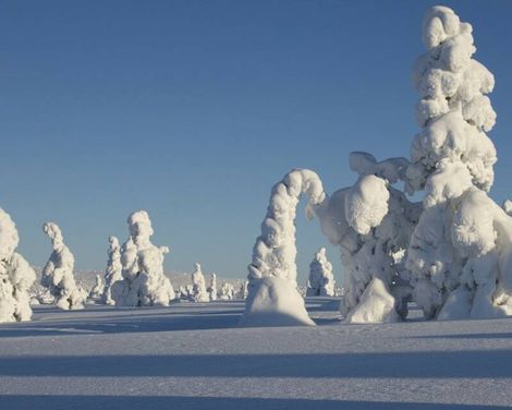 Santas Hotel Santa Claus incl Transfer & Husky & Nordlichter Tour-0