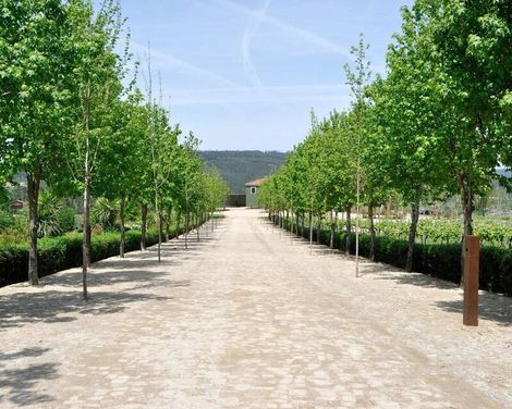 Monverde - Wine Experience Hotel