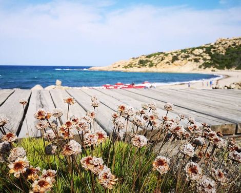 Club Esse Gallura Beach Village-0
