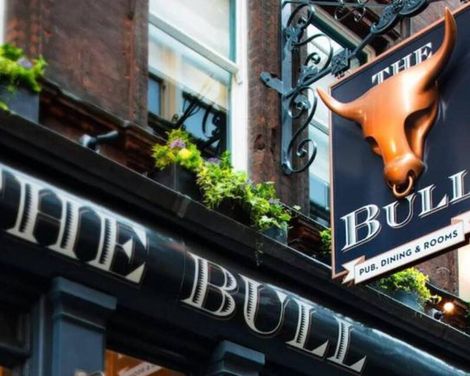 The Bull and The Hide