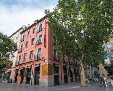 Petit Palace Plaza del Carmen