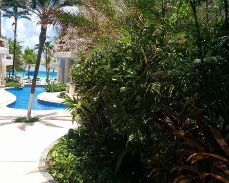 Playa Palms Boutique Beach Hotel-3