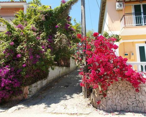 Kavos Fantasia Complex