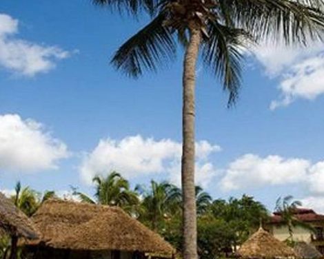 VOI Kiwengwa Resort