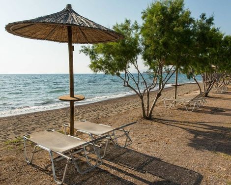 Delfinia Hotel & Bungalows-0